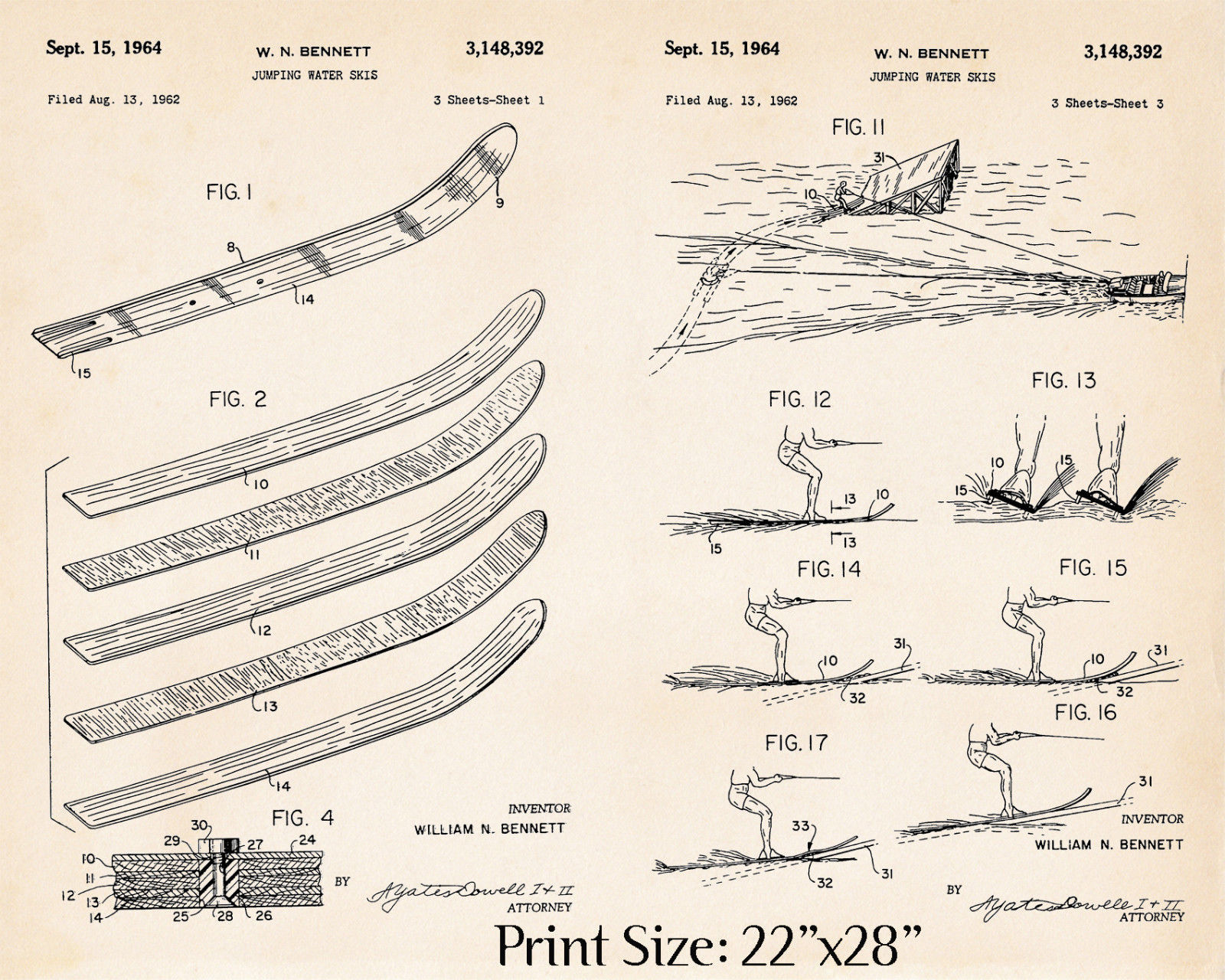 Water Ski Drawing Illustration Skiers