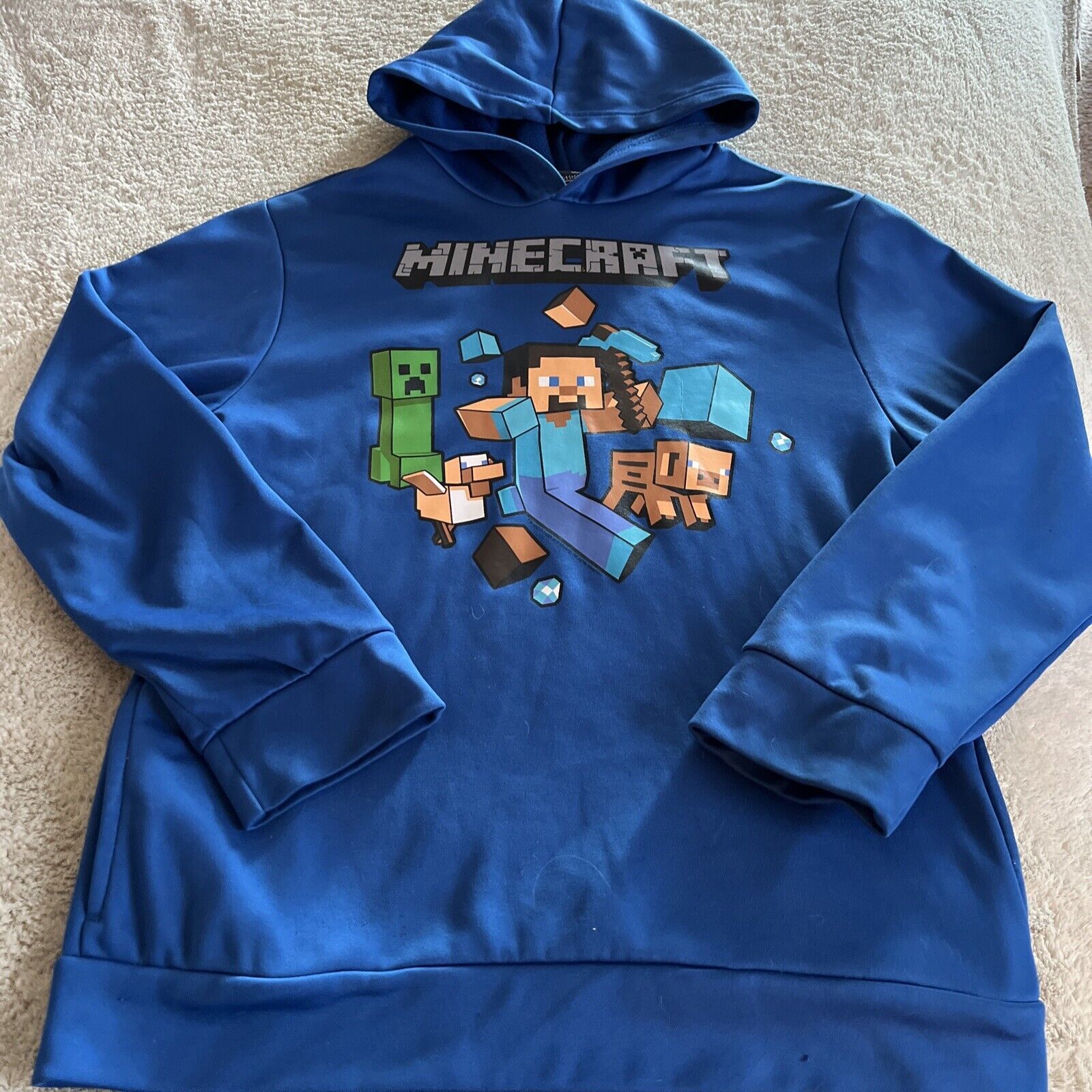 Mojang Jinx Minecraft Boys Blue Creeper Steve Pig Long Sleeve Hoodie ...