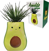 Streamline Imagined Avocado Planters - $39.99