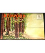 1930&#39;s REDWOOD HIGHWAY CALIFORNIA Antique POSTCARD FOLDER Curt Teich 6.1... - $19.99