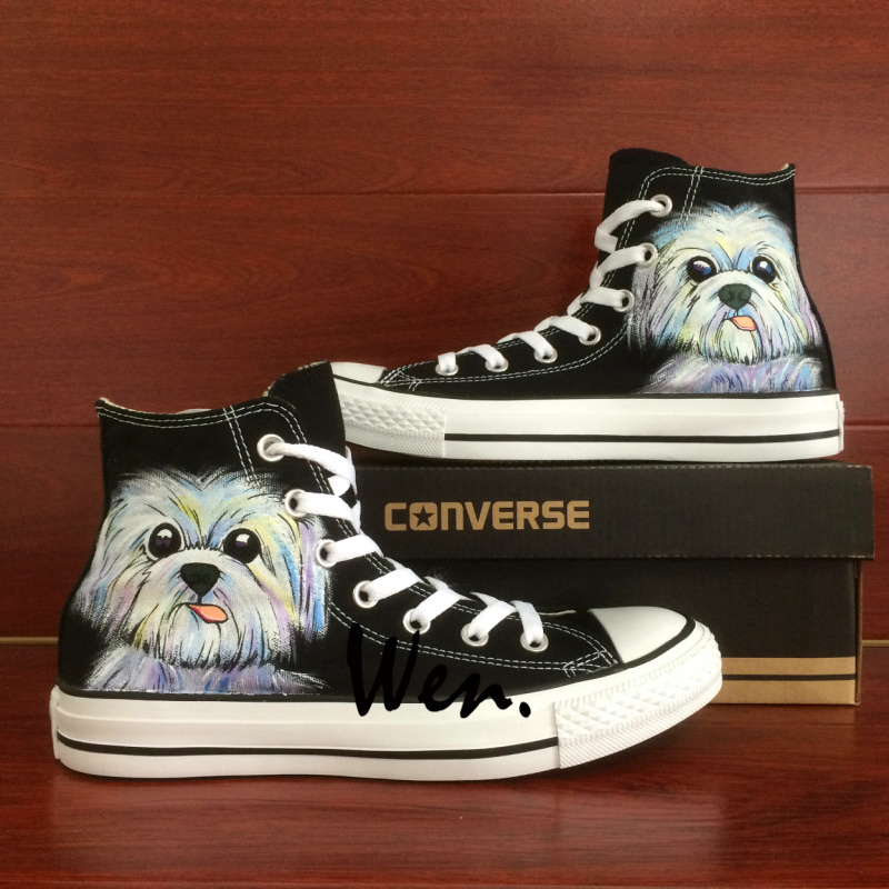 dog converse sneakers