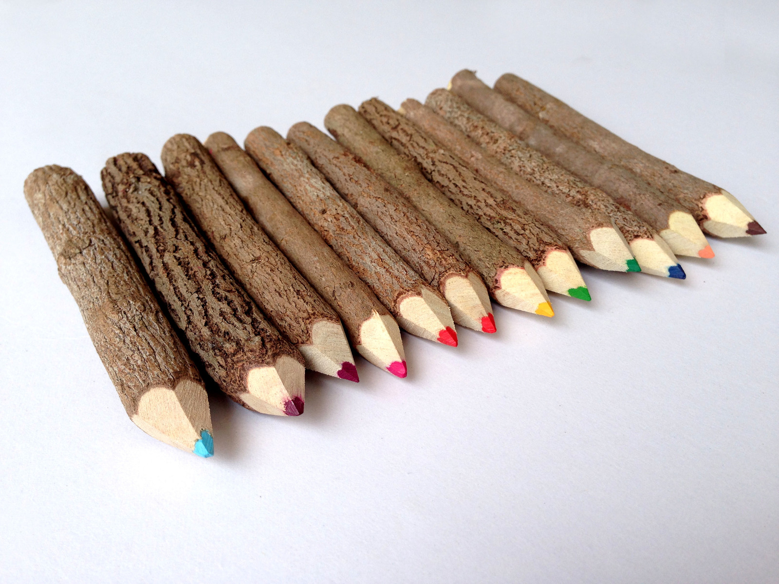 Rustic Twig Colored Pencils Set Pencils Gift Set Tree Branch Pencils
