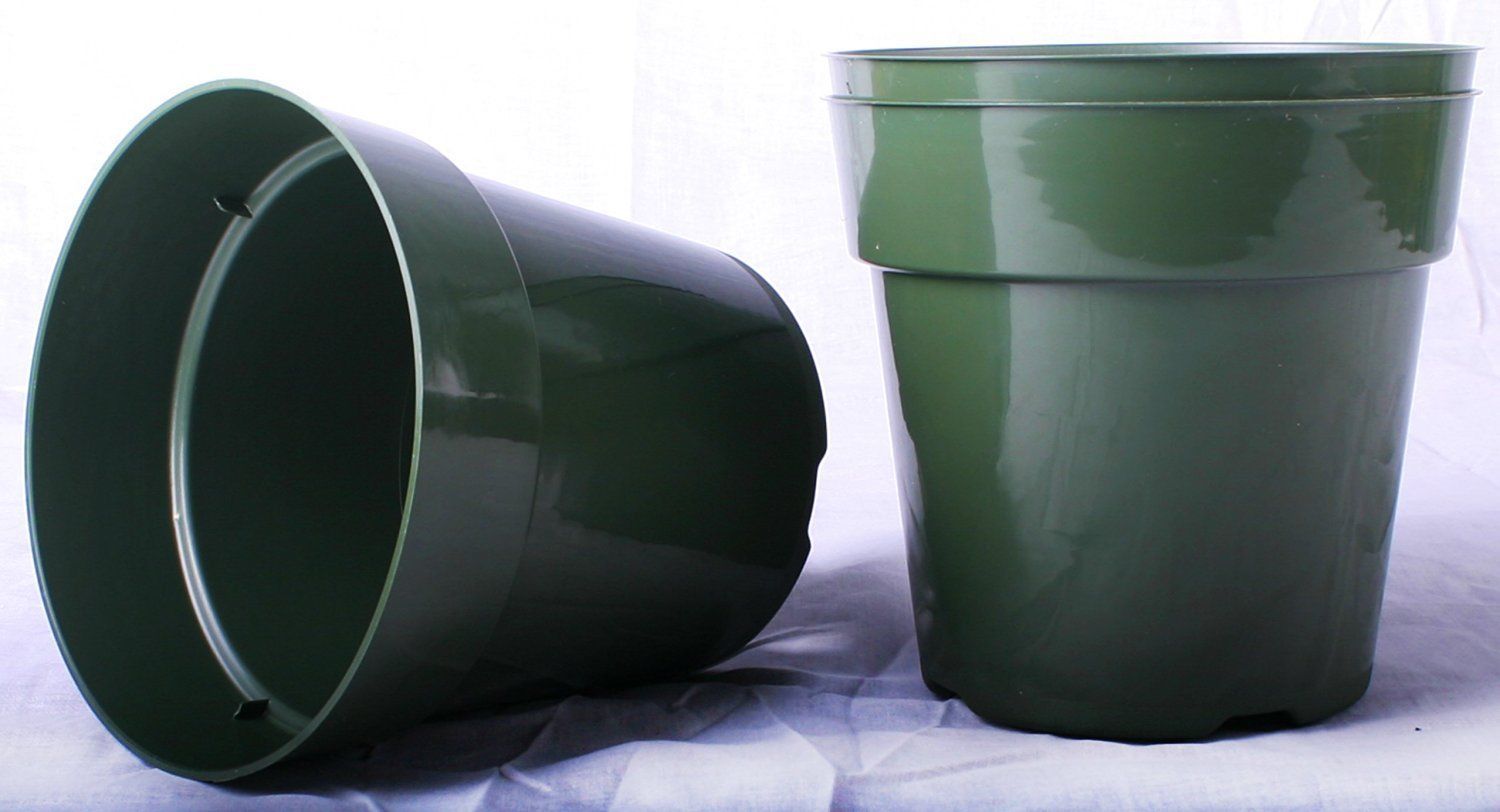 50 NEW, 6 Inch Standard Plastic Nursery Pots - Houseplants