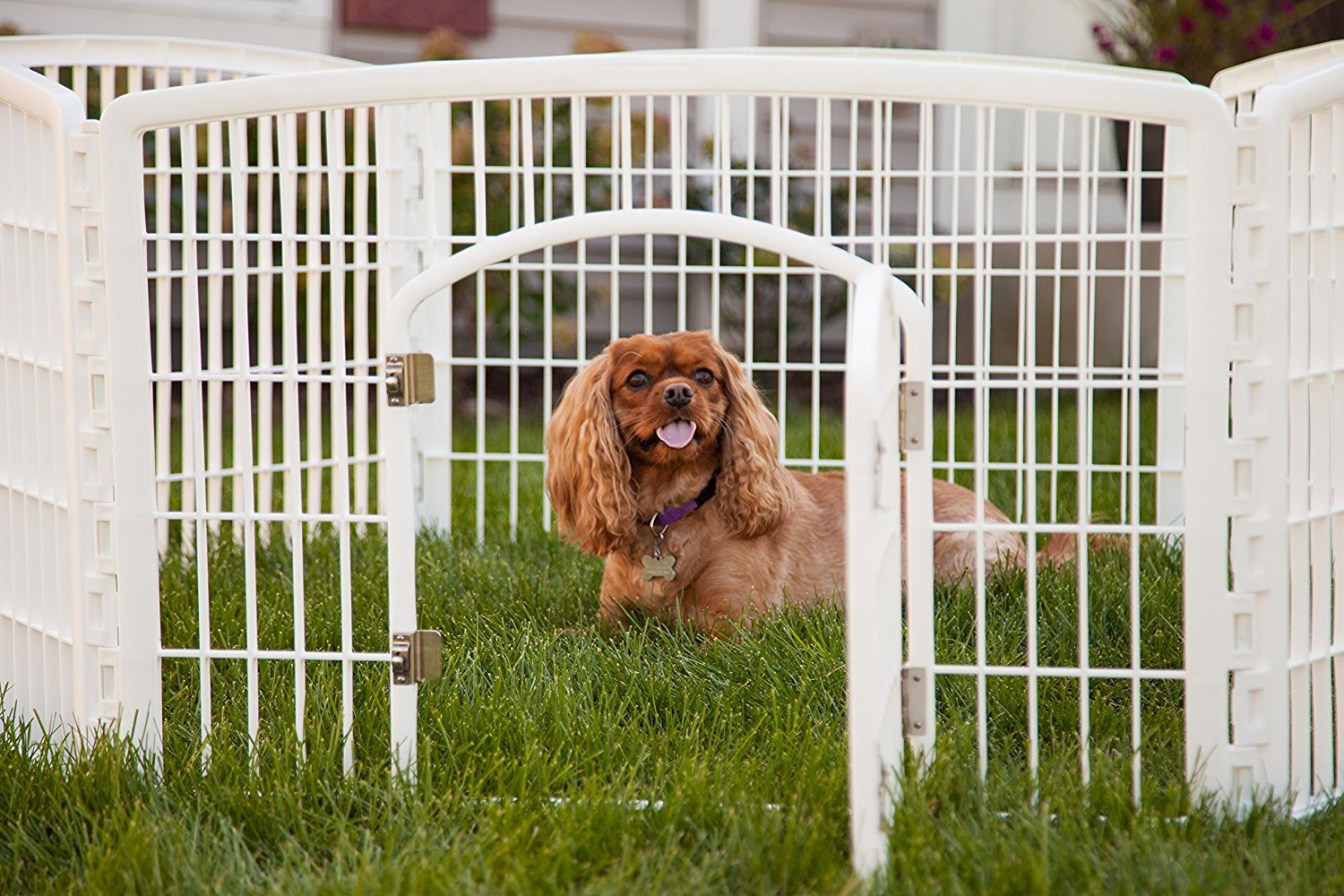 4 Panel Containment Gate Fence For Pet Pen Dog Puppy Plastic And