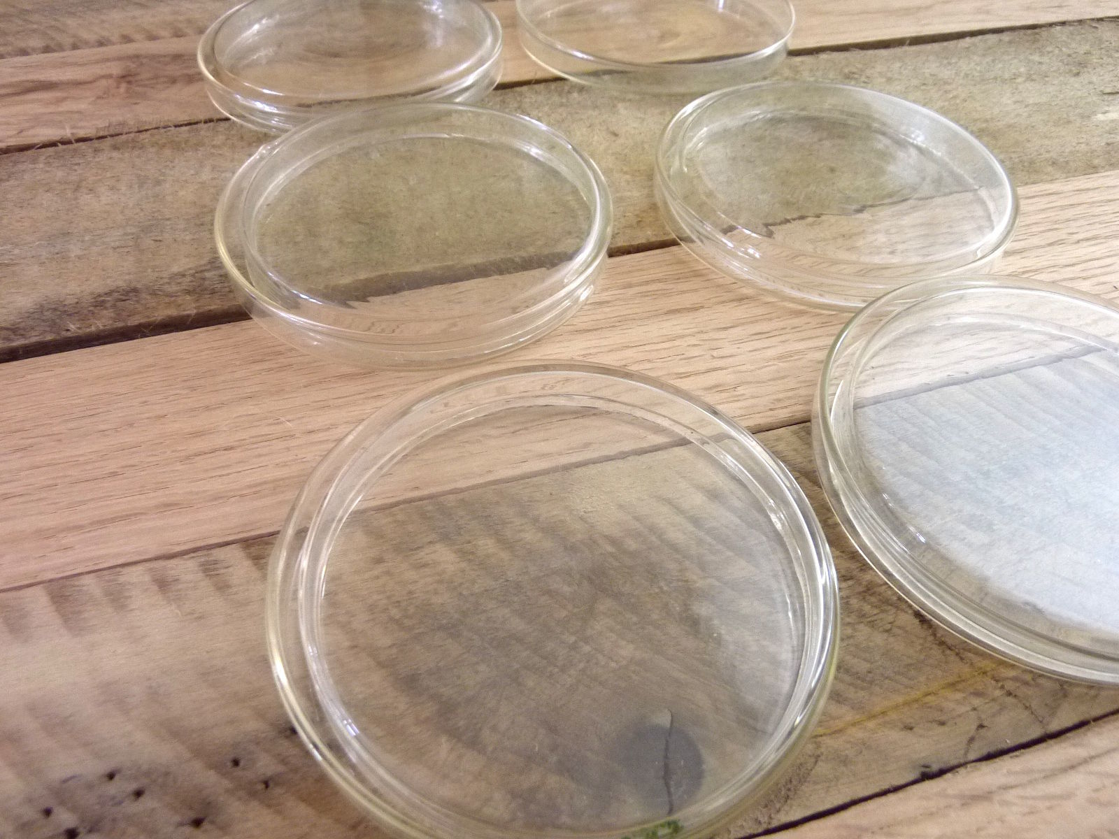 VINTAGE PYREX SET OF 5 GLASS PETRI DISHES Chemistry Set Glassware Cell