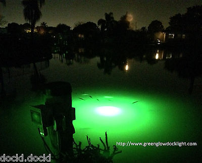 Crappie Light Snook Light w50' cord Night Fishing Light Underwater Dock Light