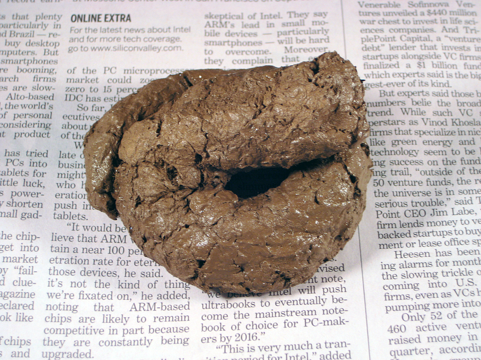 Fake Dog Poop - Crap Caca Boo Boo Dirt Pile and 50 similar items