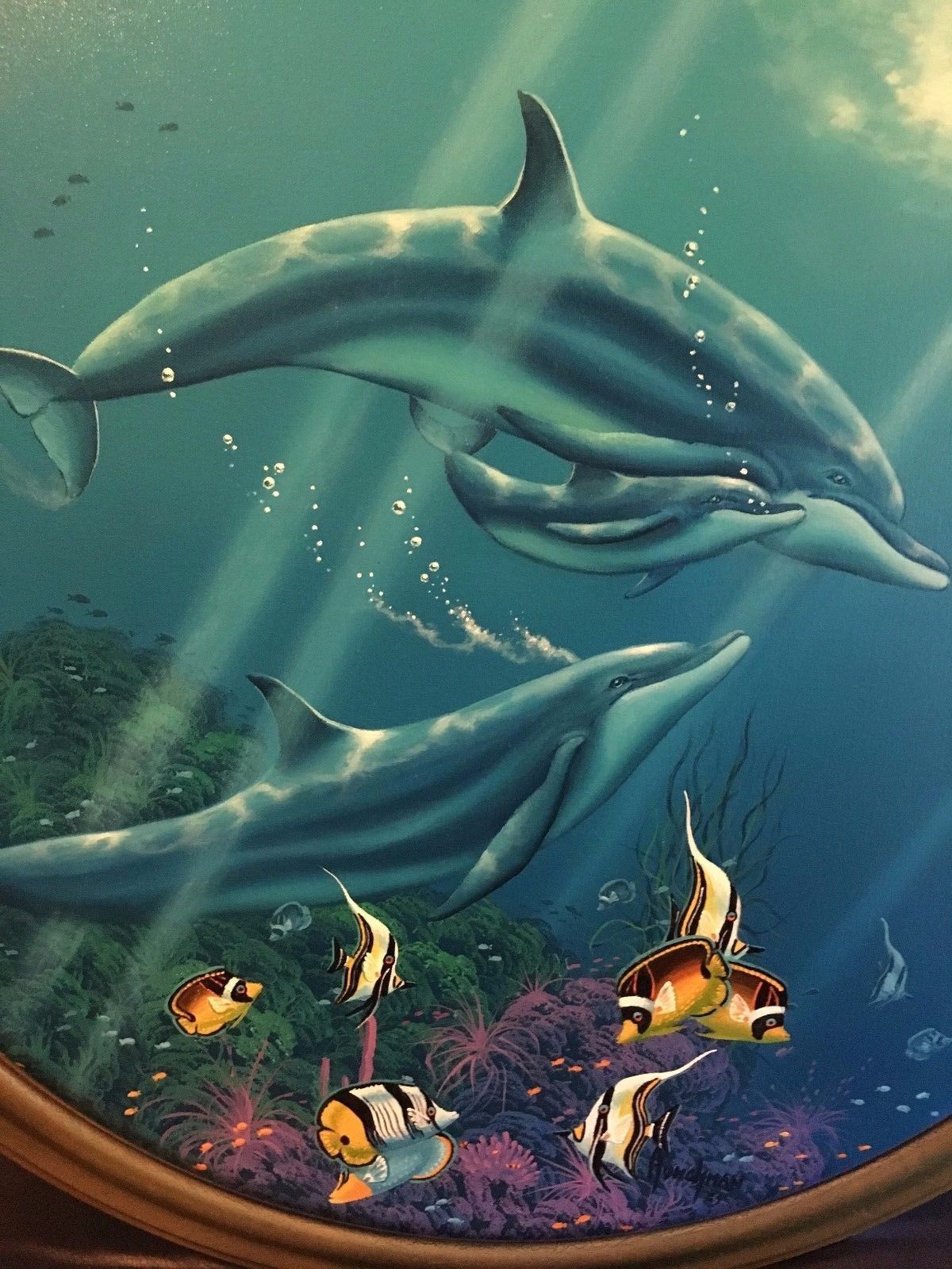 dolphin fish paintings dolphin fish paintings