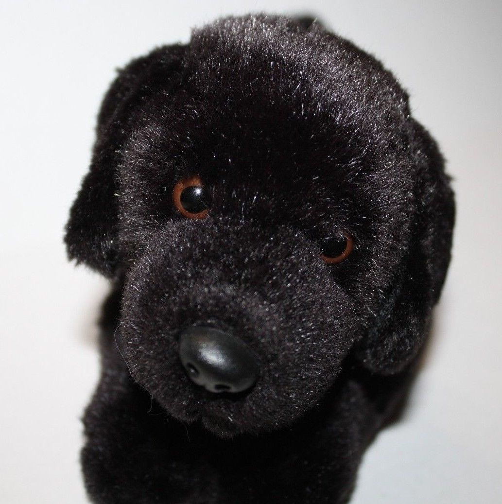 black lab webkinz