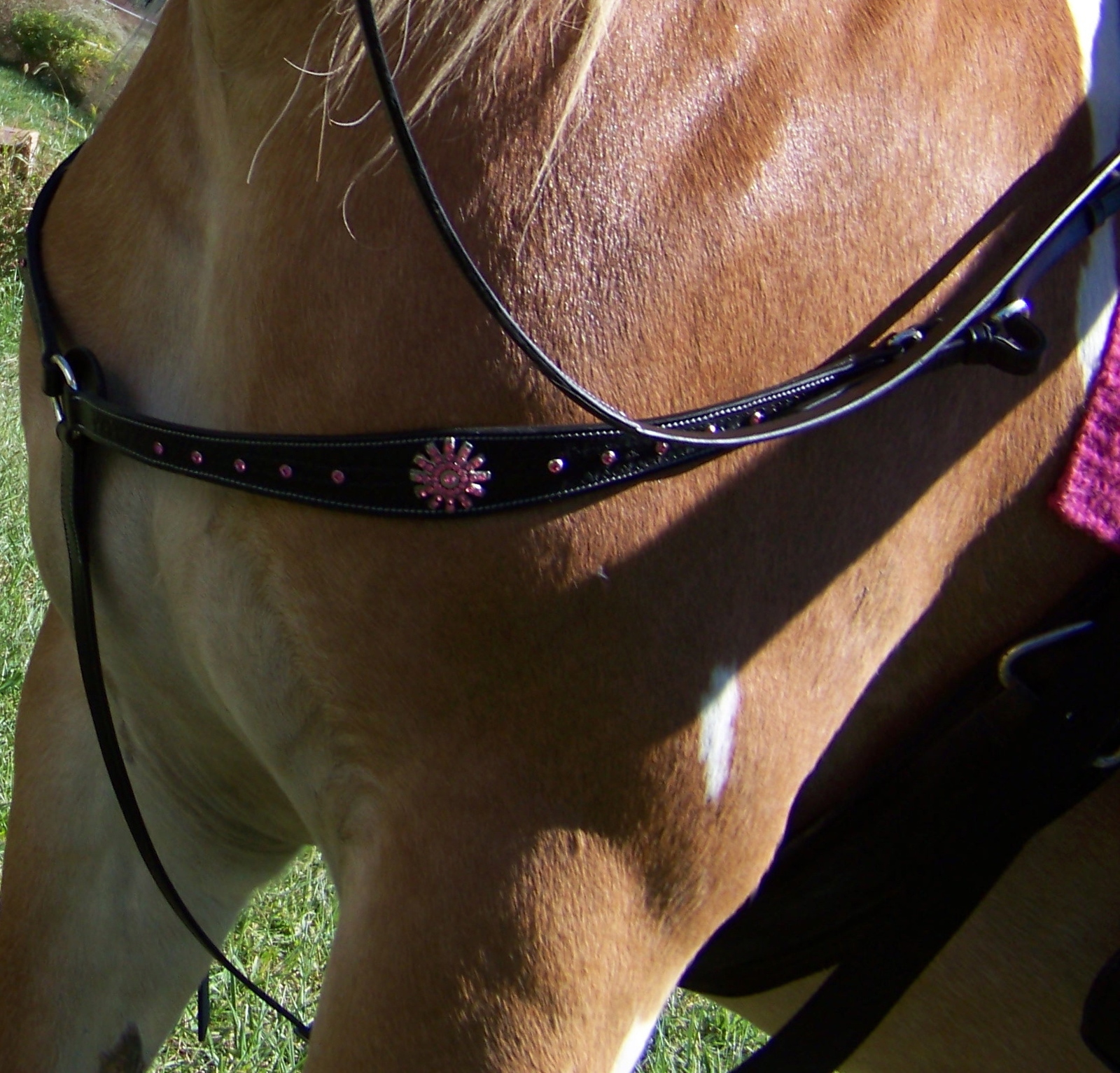 Draft Horse Black Leather Breast Collar with Pink Crystals Breast Collars