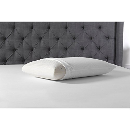 Simmons Beautyrest Beautyrest Latex Foam Pillow with Cover King Bed Pillows