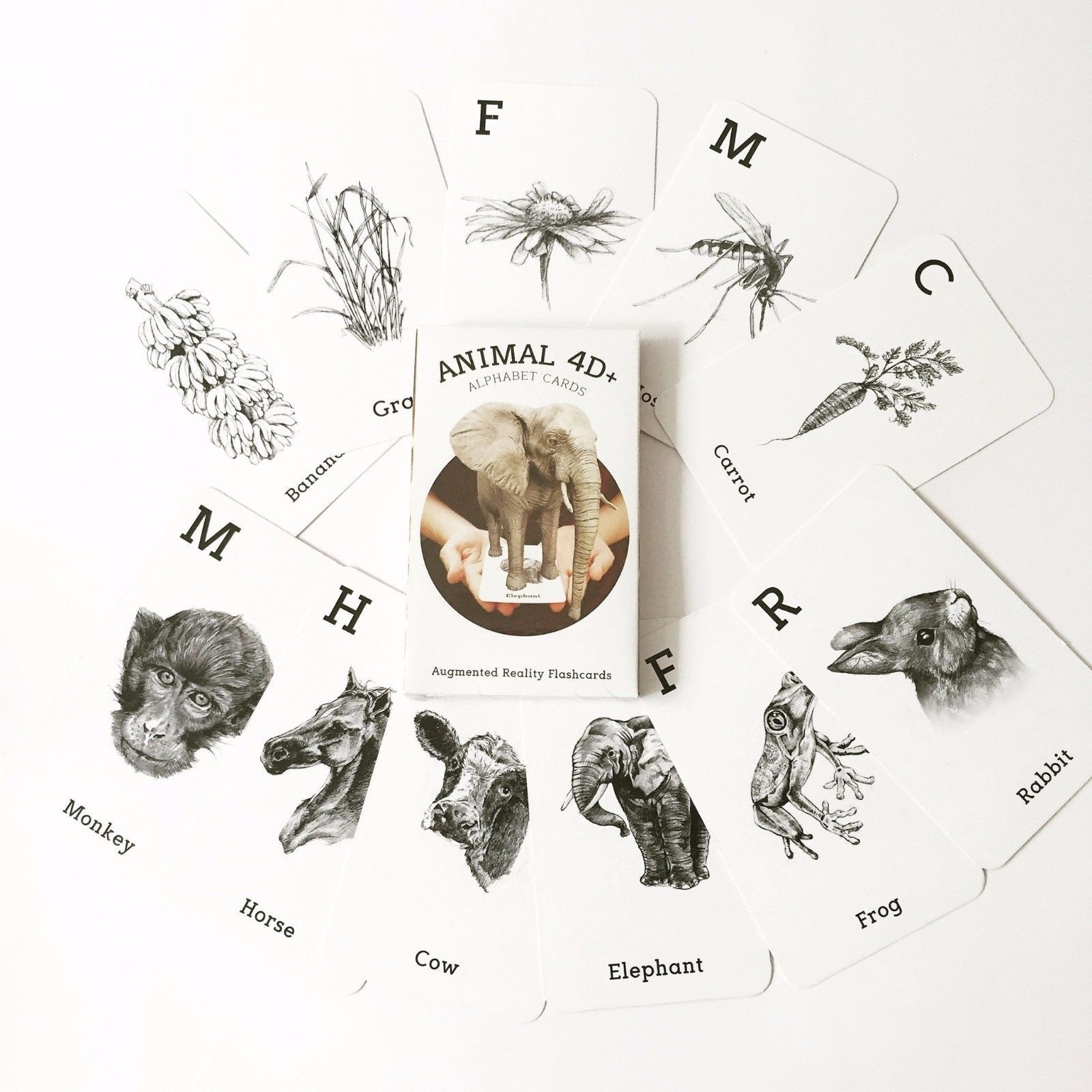 Animal 4D Card Augmented Reality Flashcard and 50 similar items