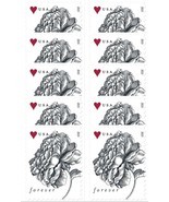 Vintage Rose Wedding PACK of TEN GENUINE Postage Forever Stamps Scott Sc... - $44.95