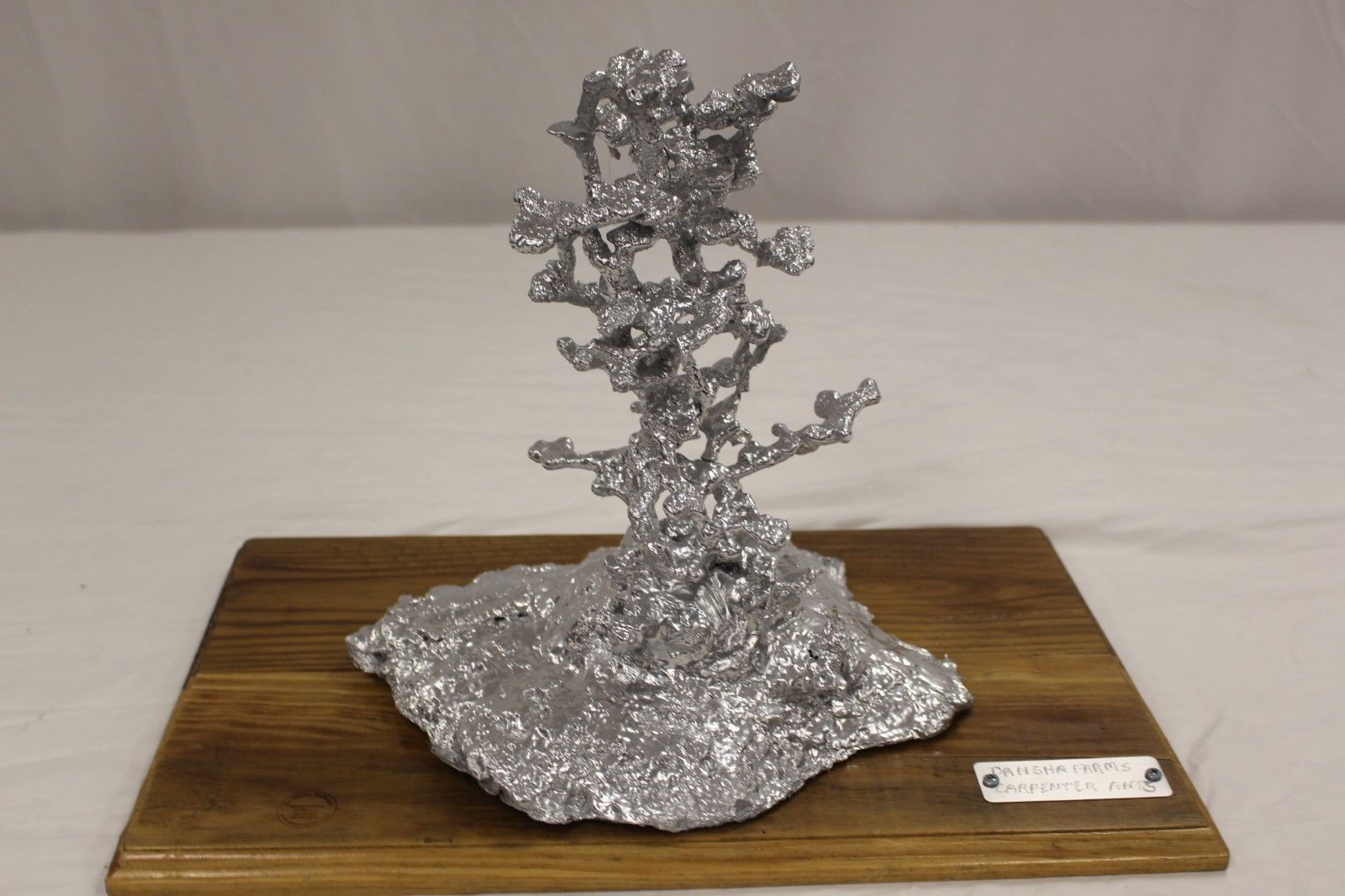 Dansha Farms Ant Hill Art, Aluminum Casting Sculpture. Fire Ants - Art ...