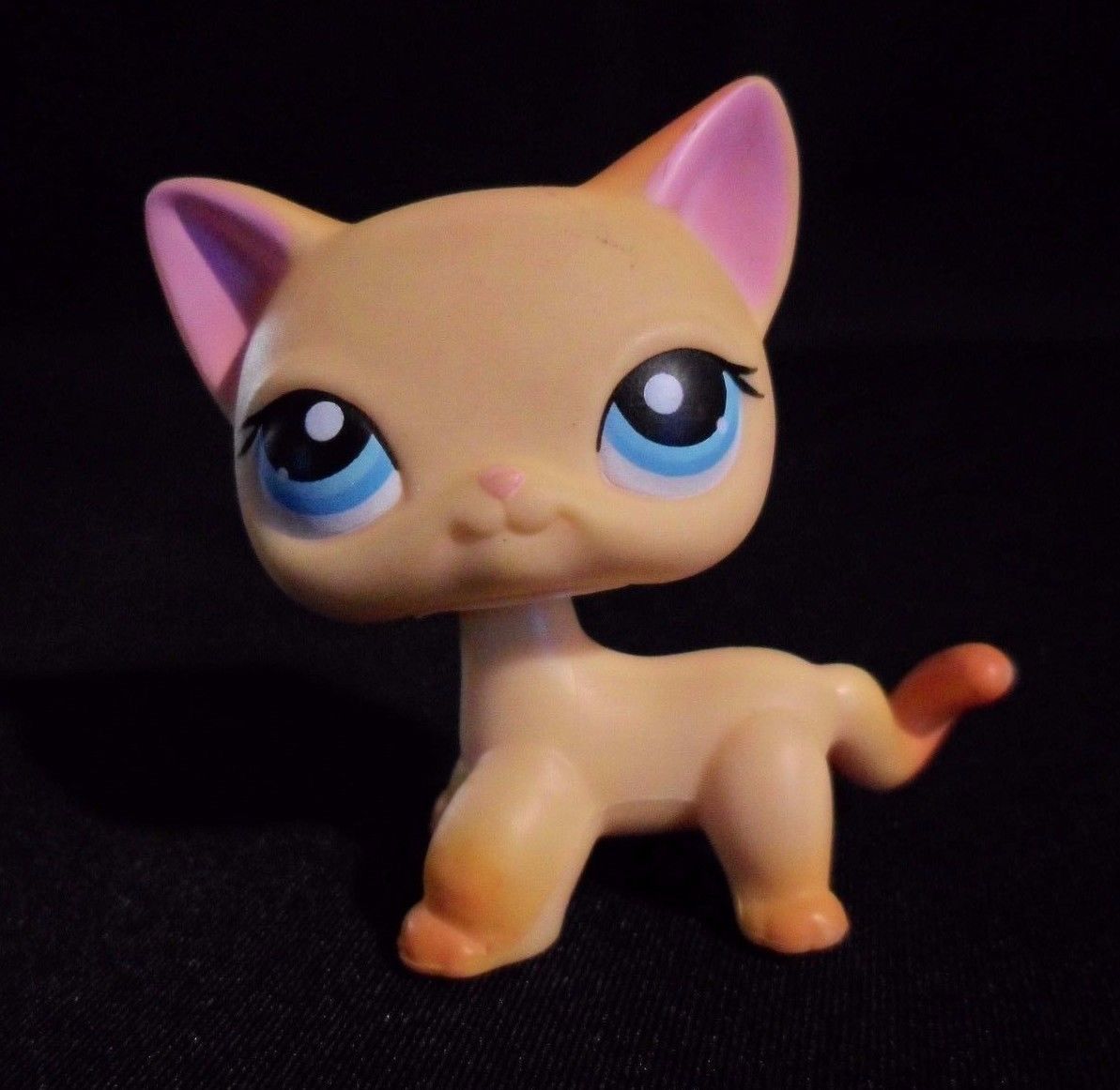 lps ranch cat