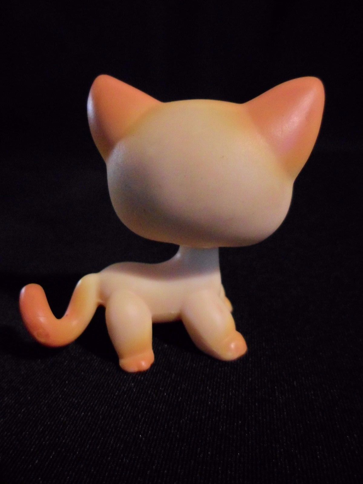 lps ranch cat