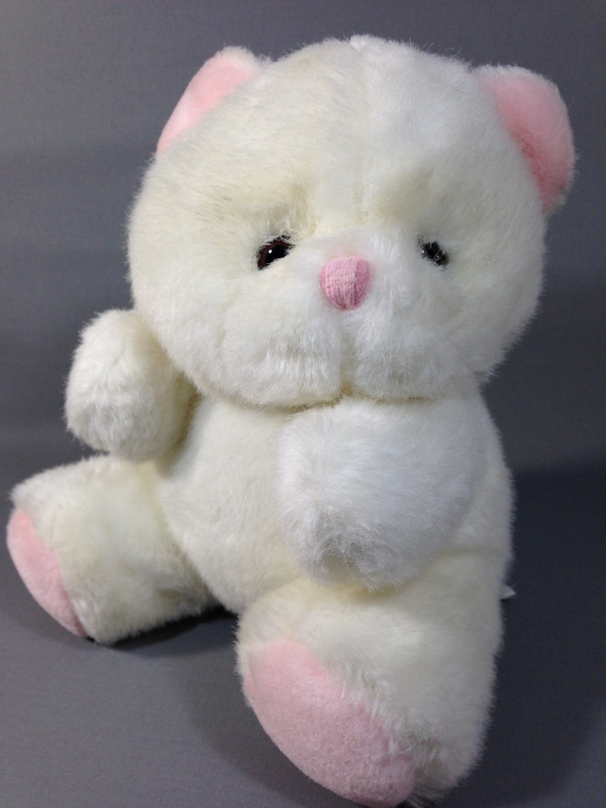 chosun teddy bear