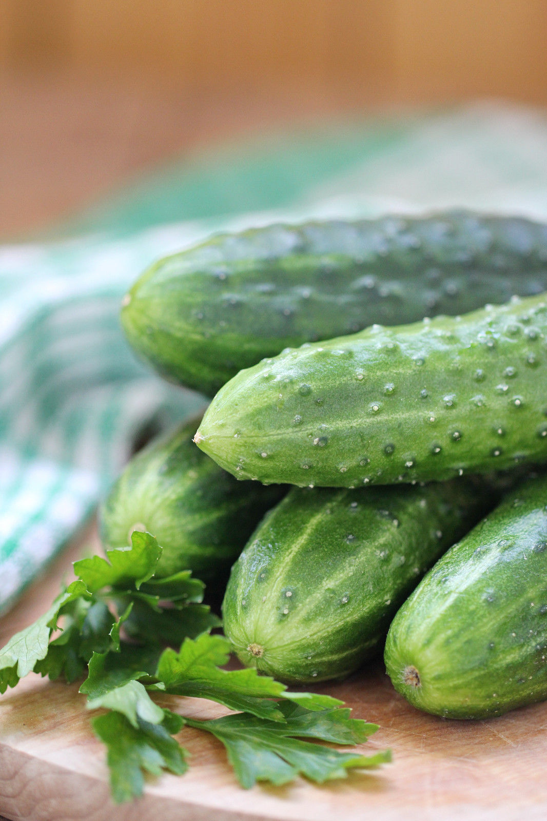 940mg Vertina F1 Cucumber Seeds Greenhouse Pickling Cuke High