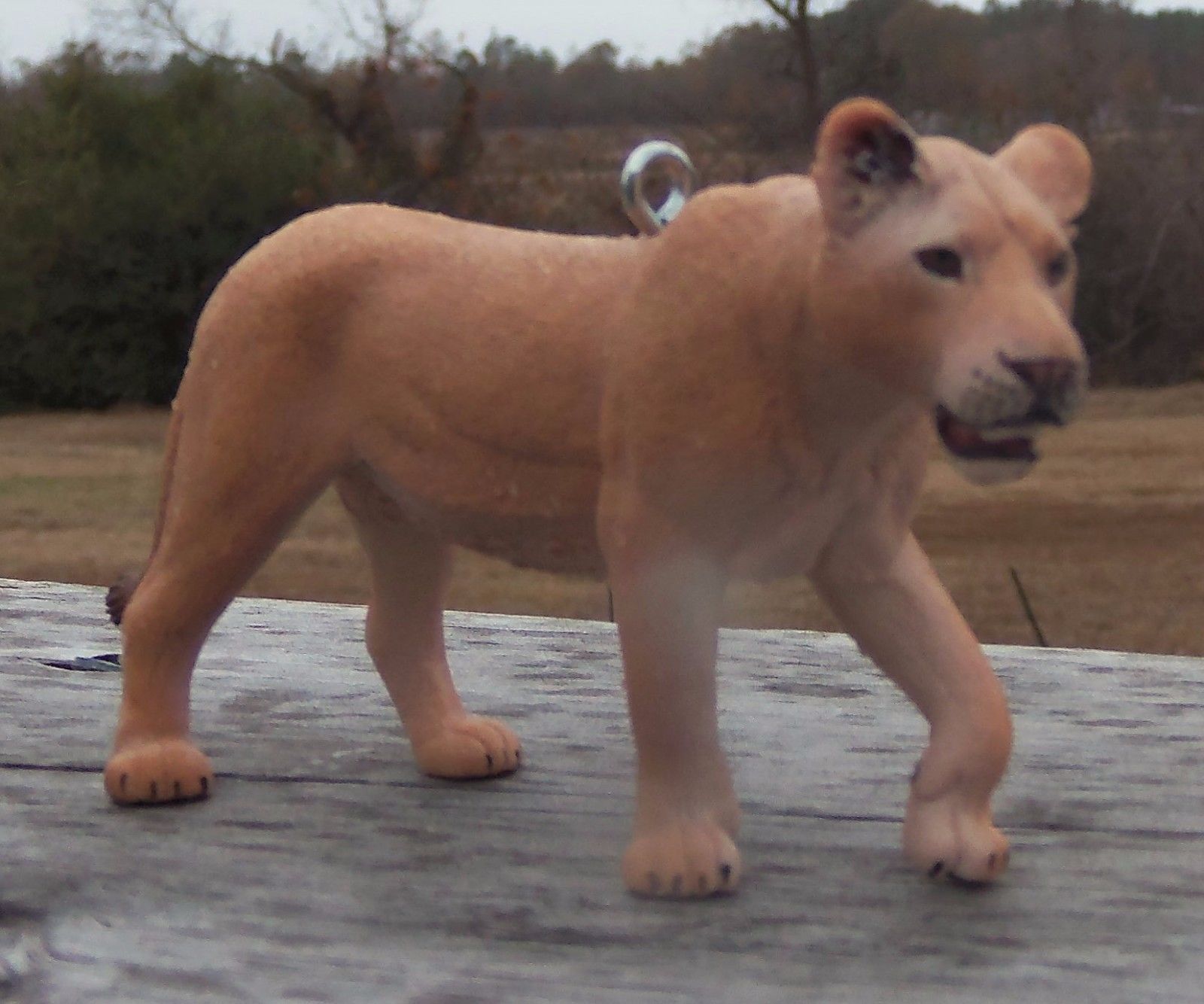 schleich lion king