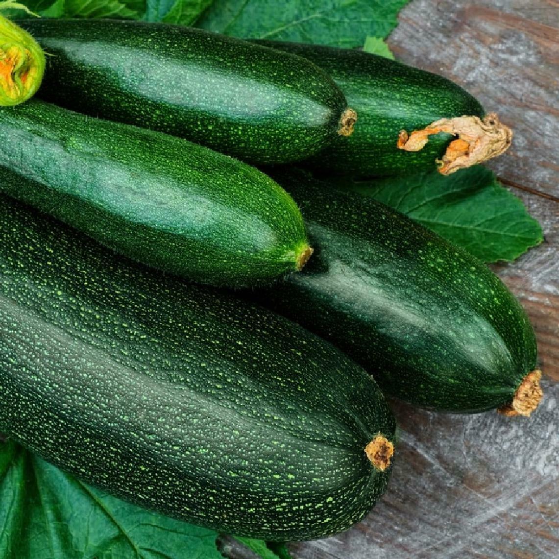 Dark Green Zucchini Summer Squash Seeds, NONGMO, Variety Sizes, FREE