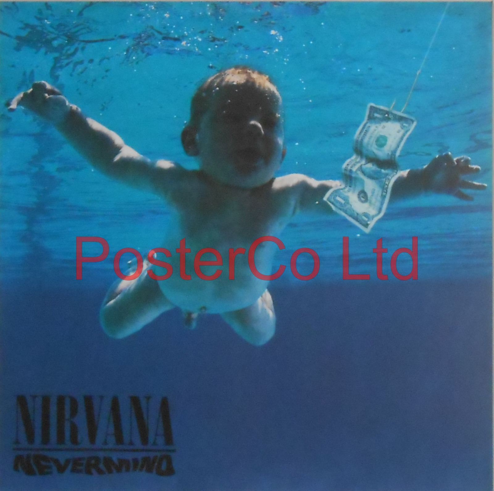 nirvana nevermind cover bedeutung