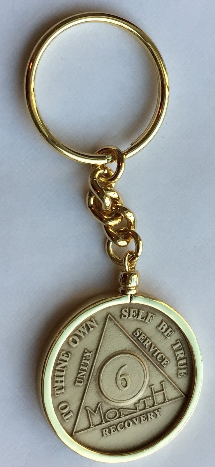Wendells 6 Month AA Sobriety Chip In Removable Gold Plated Keychain Holder