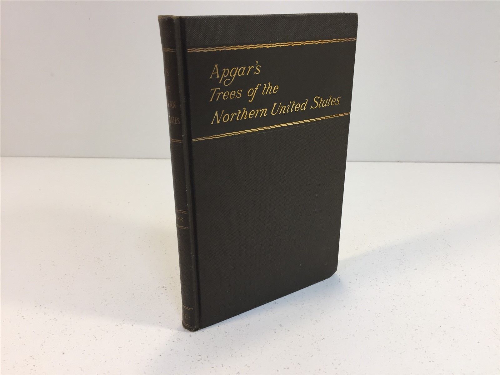 Apgar's Trees of The Northern United States by Austin Apgar HC Undated ...