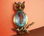 Owl2 thumb155 crop