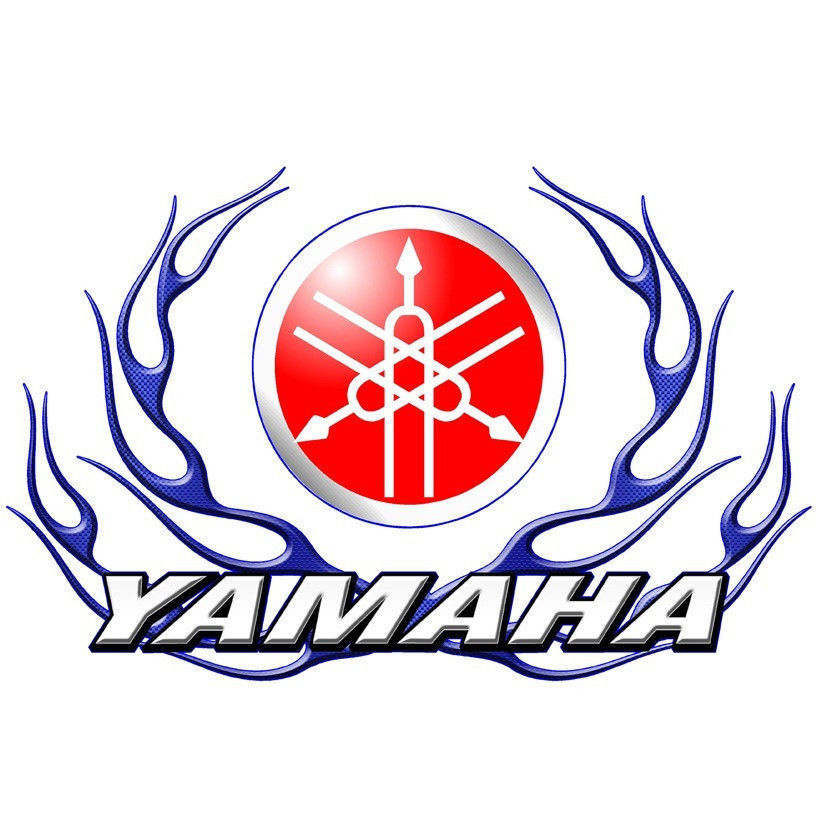 Custom Race Car Truck Trailer Snowmobile Yamaha Circle Flame Vinyl