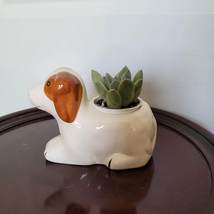 Dog Animal Planter with Succulent, live house plant in ceramic Puppy Plant Pot image 4