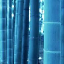 “ 100 PCS Blue Bamboo Seeds GIM ” - $17.08