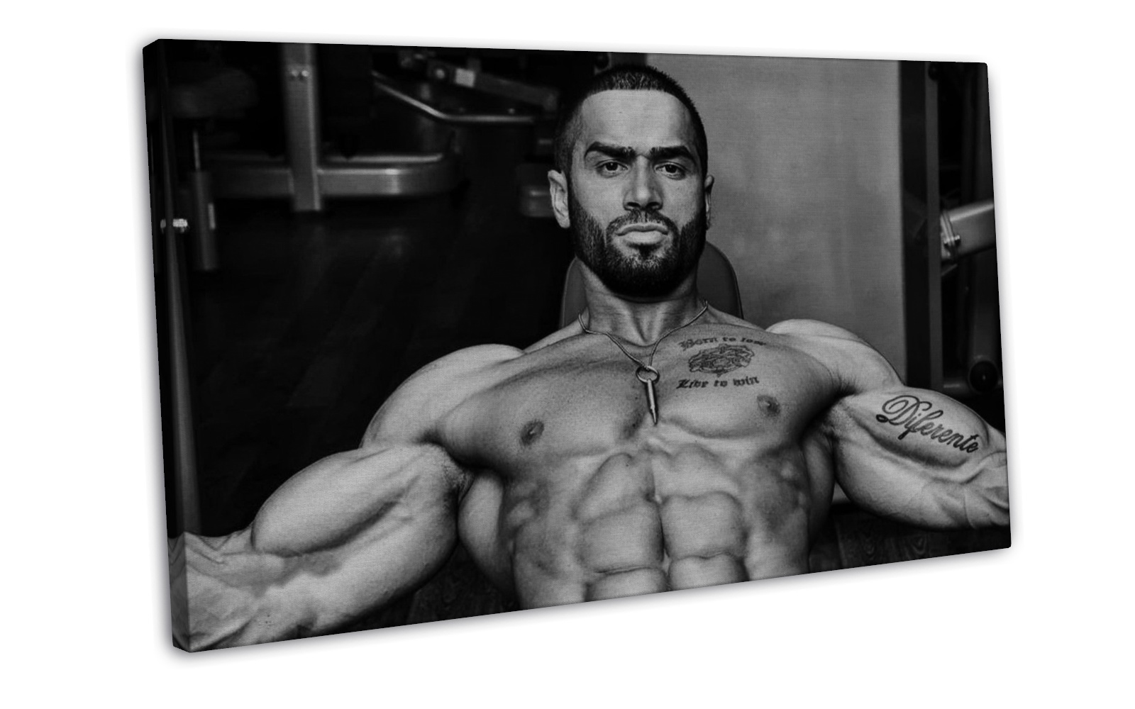 Lazar Angelov - BodyBuilding Muscle Man Wall Decor 20x16 FRAMED CANVAS ...