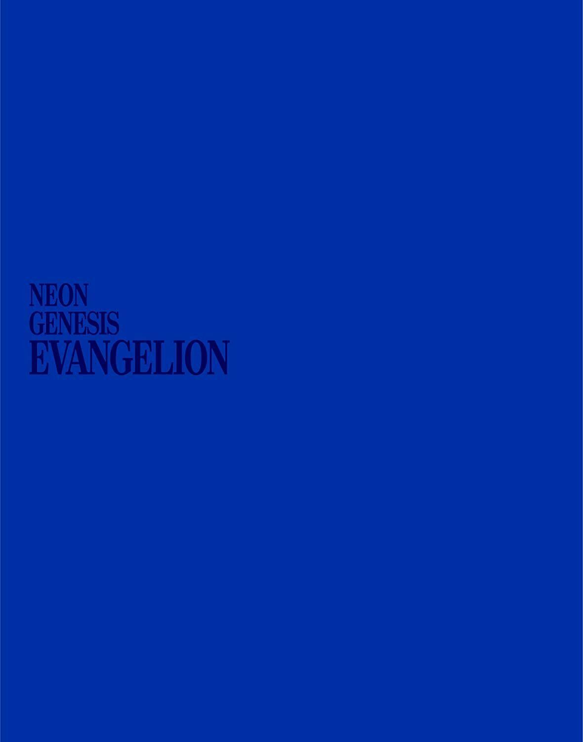 neon genesis evangelion episode 19 dubbed