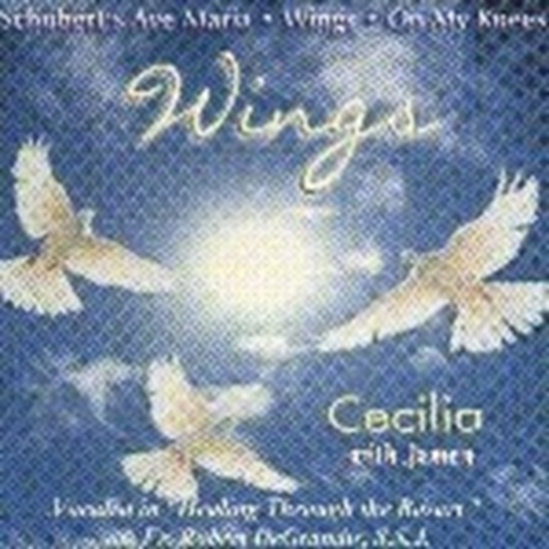 Wings by fr. robert de grandis