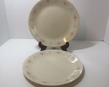 2 Dinner Plates Corelle Forever Yours 10.25" Pink Hearts