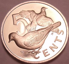 Rare Proof British Virgin Islands 1975 5 Cents~Doves~32,000 Minted~Free Shipping - $5.58