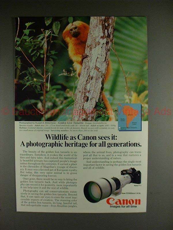 Primary image for 1982 Canon F1 F-1 Camera Ad w/ Golden Lion Tamarin!!