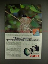 1982 Canon F1 Camera Ad, w/ Black Paradise Flycatcher!! - $14.99