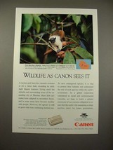 1994 Canon Communicator Ad w/ Pied Bare-face Tamarin - $14.99