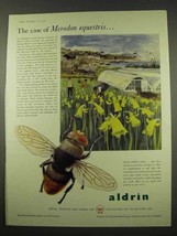 1956 Shell Aldrin Ad - The Case of Merodon Equestris - $14.99