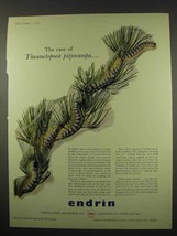 1956 Shell Endrin Ad - Case of Thaumetopoea Pityocampa - $14.99