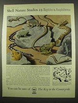 1956 Shell Oil Ad - Art by Tristram Hillier - Reptiles - $14.99