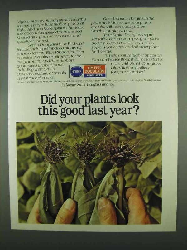 1978 Borden Smith Douglass Fertilizer Ad - Look Good - $14.99
