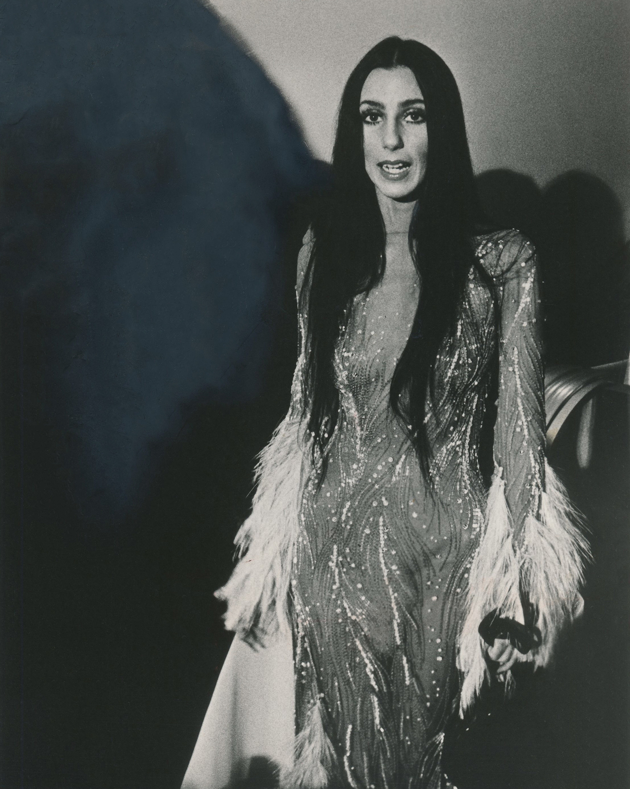 Cher: Fashion Icon, an Archival Print - Art Photographs