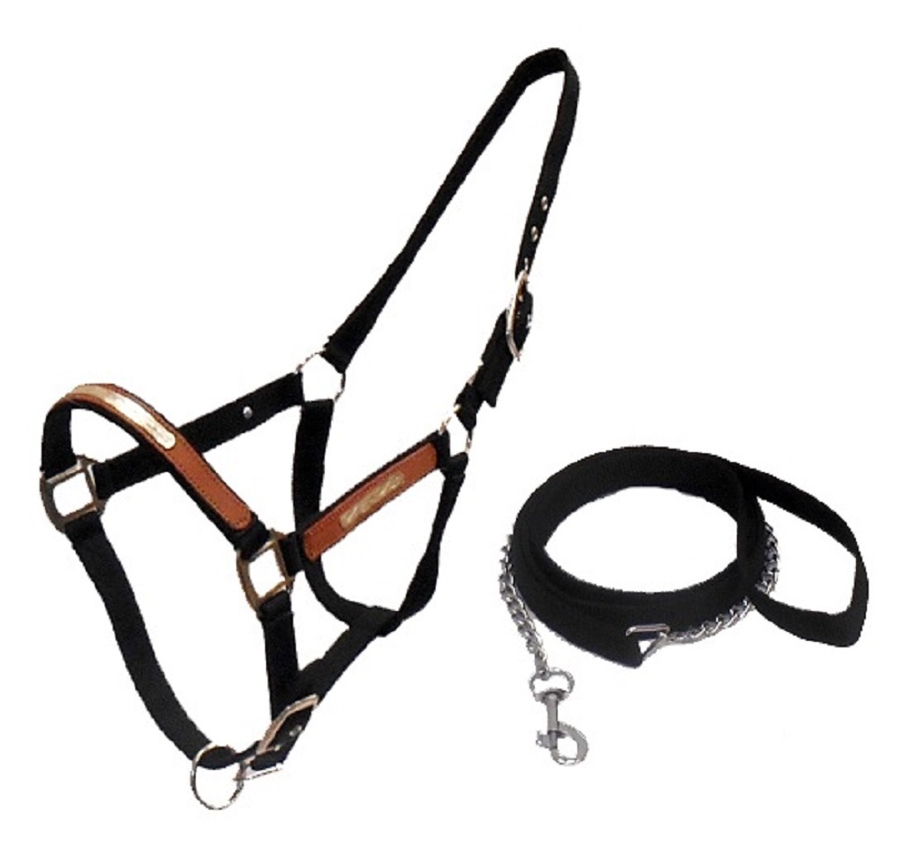 Nylon Horse size Halter with Nylon lead and Stud Chain Pet Supplies