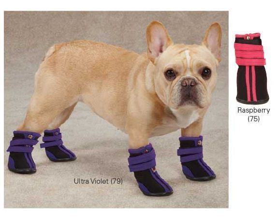 high top dog boots