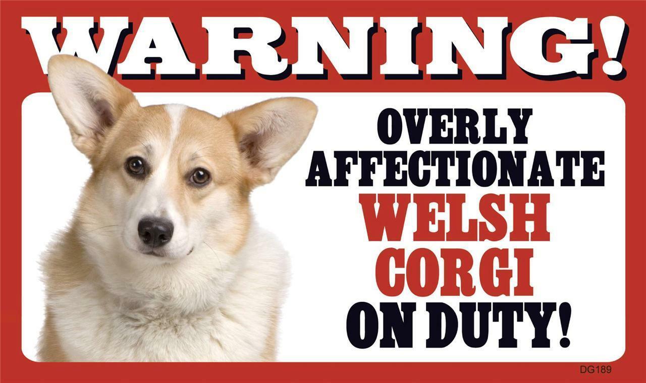 Warning Overly Affectionate Welsh Corgi On Duty Wall Sign 5  x 8 Gift Dog