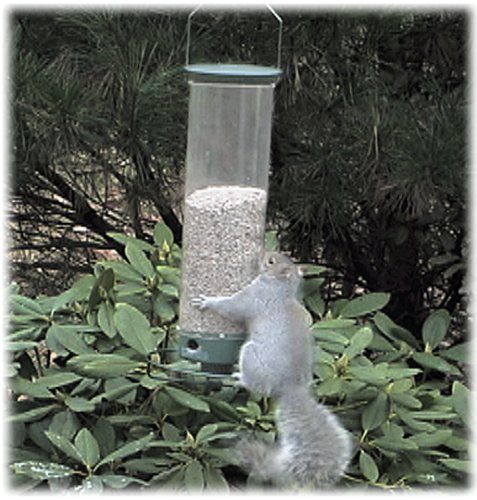 Hanging Bird Feeder Squirrel Proof Droll And 50 Similar Items