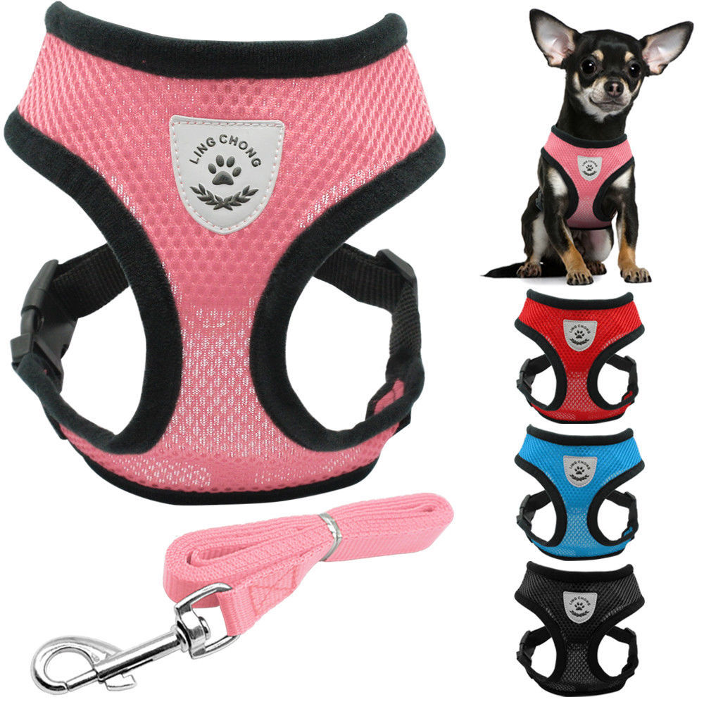 New Soft breathable air nylon mesh puppy dog pet cat harness and leash set