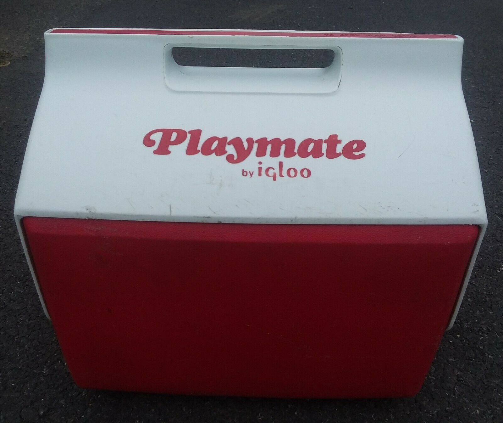 16 quart igloo cooler